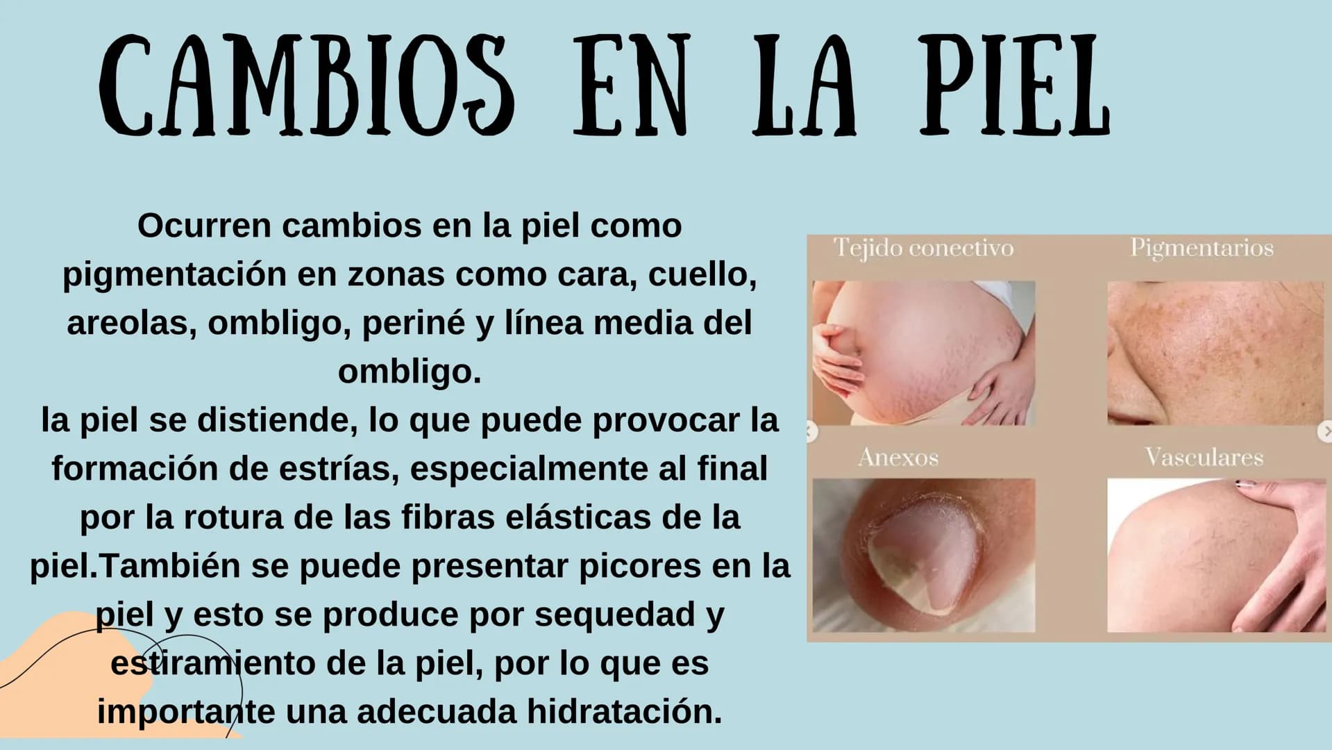 PROCESO GESTIONAL, CAMBIOS
FISIOLOGICOS DURANTE LA
GESTACIÓN CAMBIOS FISIOLOGICOS EN EL
EMBARAZO
La mujer gestante presenta una serie de
cam