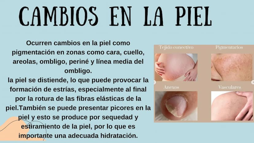 PROCESO GESTIONAL, CAMBIOS
FISIOLOGICOS DURANTE LA
GESTACIÓN CAMBIOS FISIOLOGICOS EN EL
EMBARAZO
La mujer gestante presenta una serie de
cam