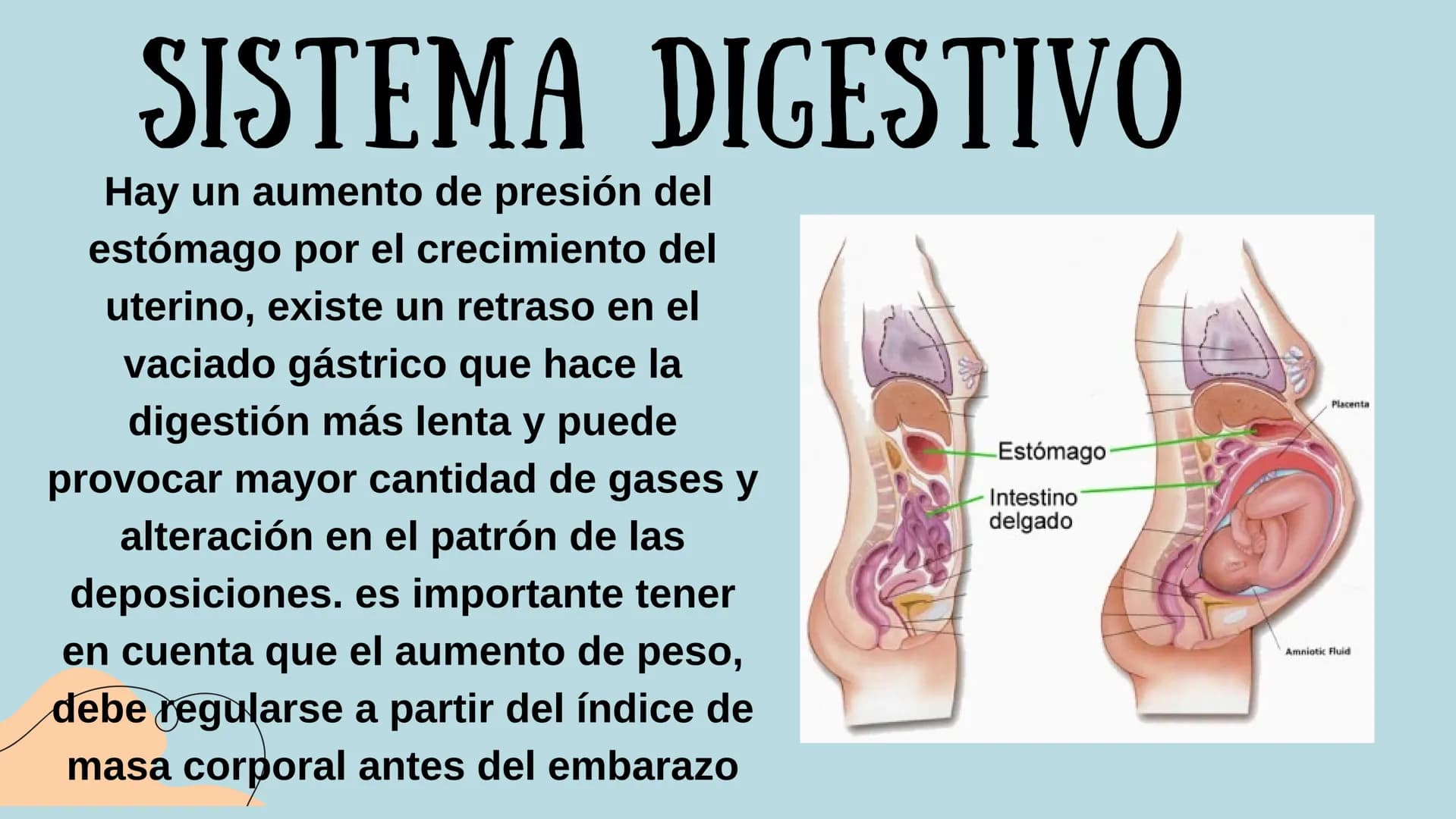 PROCESO GESTIONAL, CAMBIOS
FISIOLOGICOS DURANTE LA
GESTACIÓN CAMBIOS FISIOLOGICOS EN EL
EMBARAZO
La mujer gestante presenta una serie de
cam