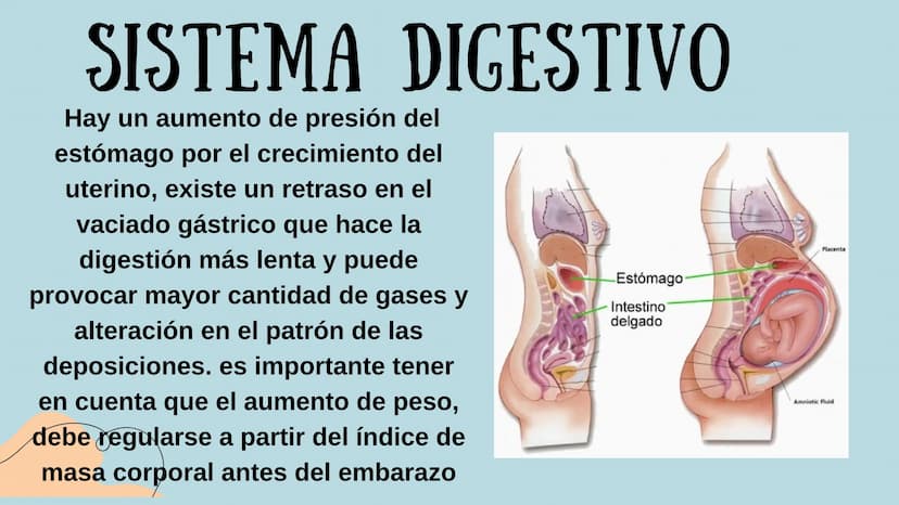 PROCESO GESTIONAL, CAMBIOS
FISIOLOGICOS DURANTE LA
GESTACIÓN CAMBIOS FISIOLOGICOS EN EL
EMBARAZO
La mujer gestante presenta una serie de
cam