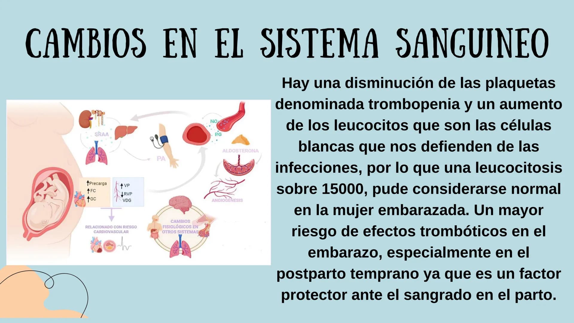 PROCESO GESTIONAL, CAMBIOS
FISIOLOGICOS DURANTE LA
GESTACIÓN CAMBIOS FISIOLOGICOS EN EL
EMBARAZO
La mujer gestante presenta una serie de
cam