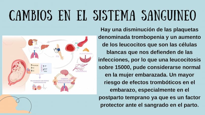 PROCESO GESTIONAL, CAMBIOS
FISIOLOGICOS DURANTE LA
GESTACIÓN CAMBIOS FISIOLOGICOS EN EL
EMBARAZO
La mujer gestante presenta una serie de
cam