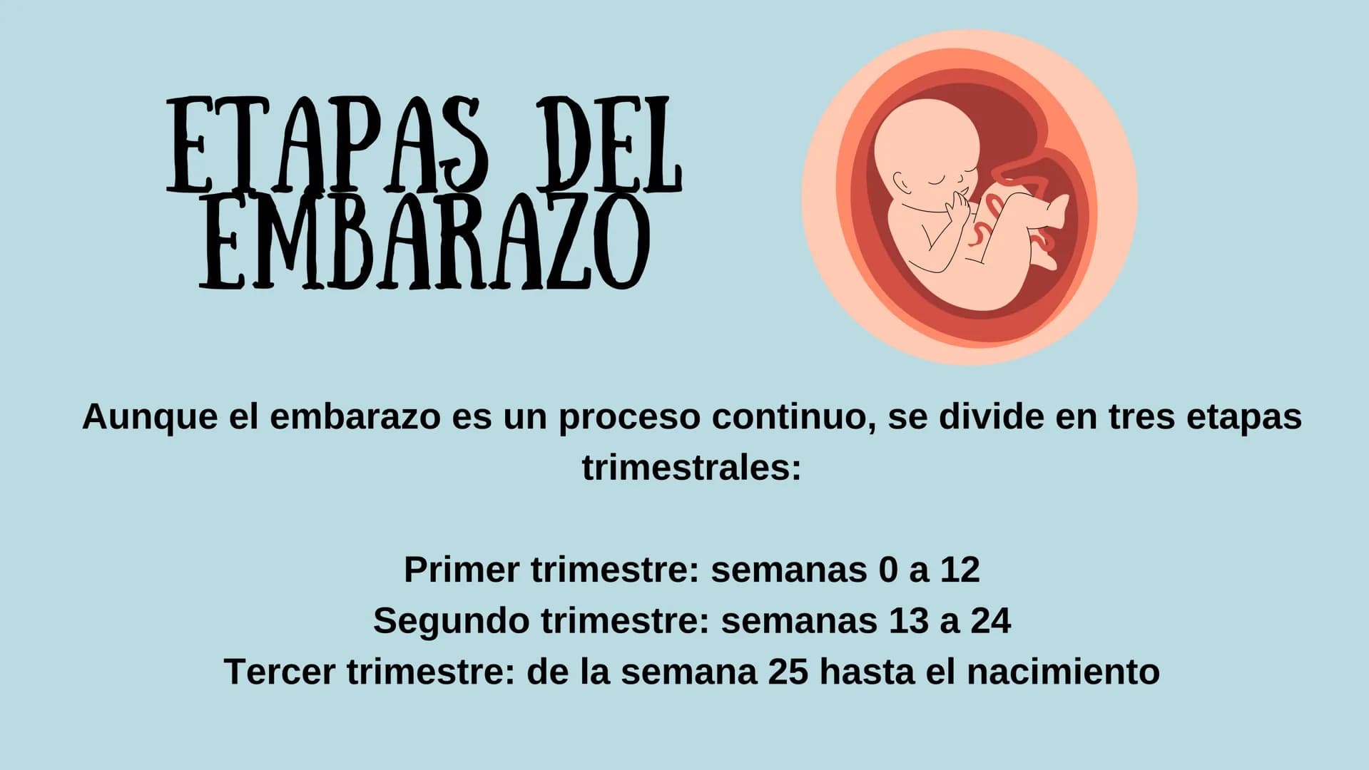 PROCESO GESTIONAL, CAMBIOS
FISIOLOGICOS DURANTE LA
GESTACIÓN CAMBIOS FISIOLOGICOS EN EL
EMBARAZO
La mujer gestante presenta una serie de
cam