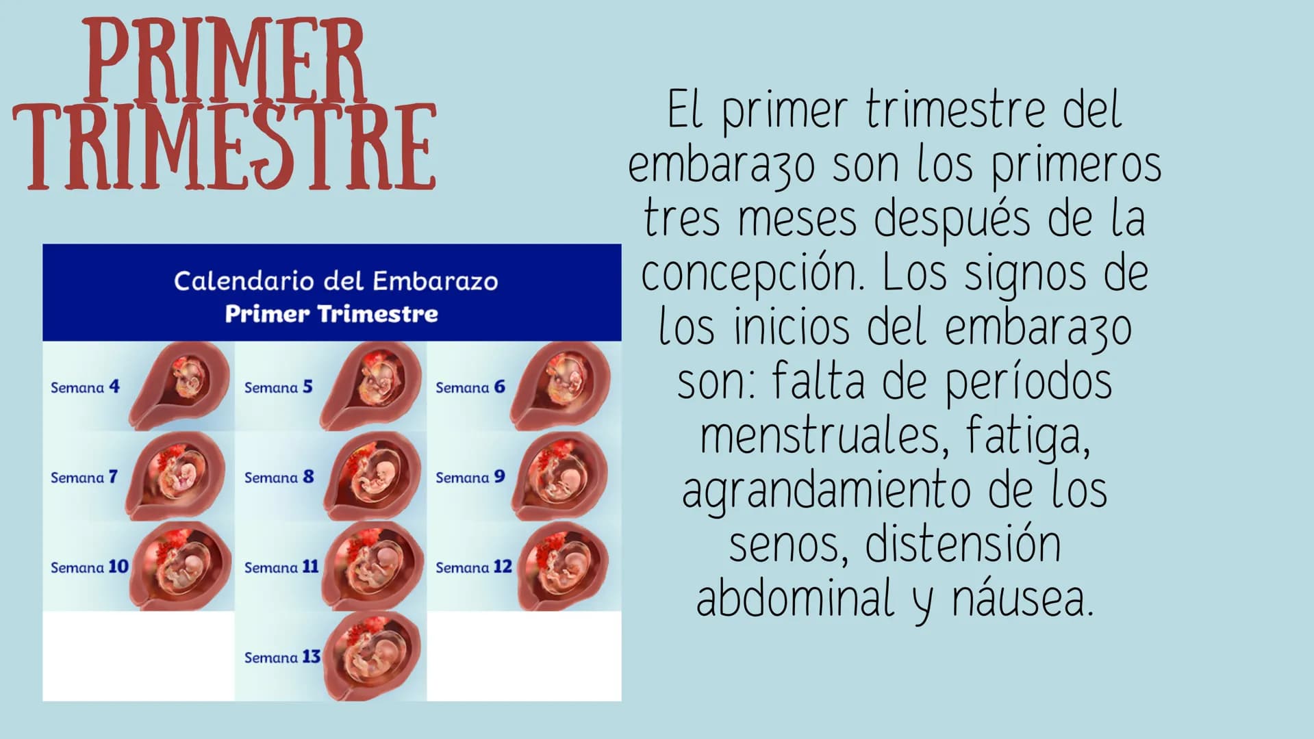PROCESO GESTIONAL, CAMBIOS
FISIOLOGICOS DURANTE LA
GESTACIÓN CAMBIOS FISIOLOGICOS EN EL
EMBARAZO
La mujer gestante presenta una serie de
cam
