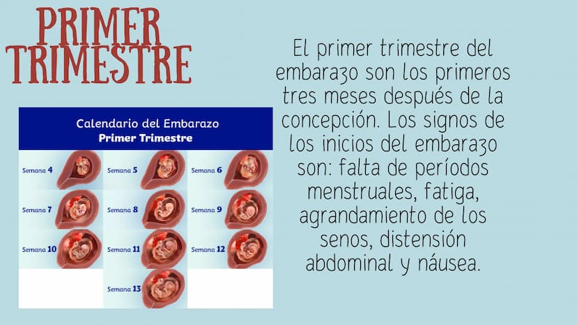 PROCESO GESTIONAL, CAMBIOS
FISIOLOGICOS DURANTE LA
GESTACIÓN CAMBIOS FISIOLOGICOS EN EL
EMBARAZO
La mujer gestante presenta una serie de
cam