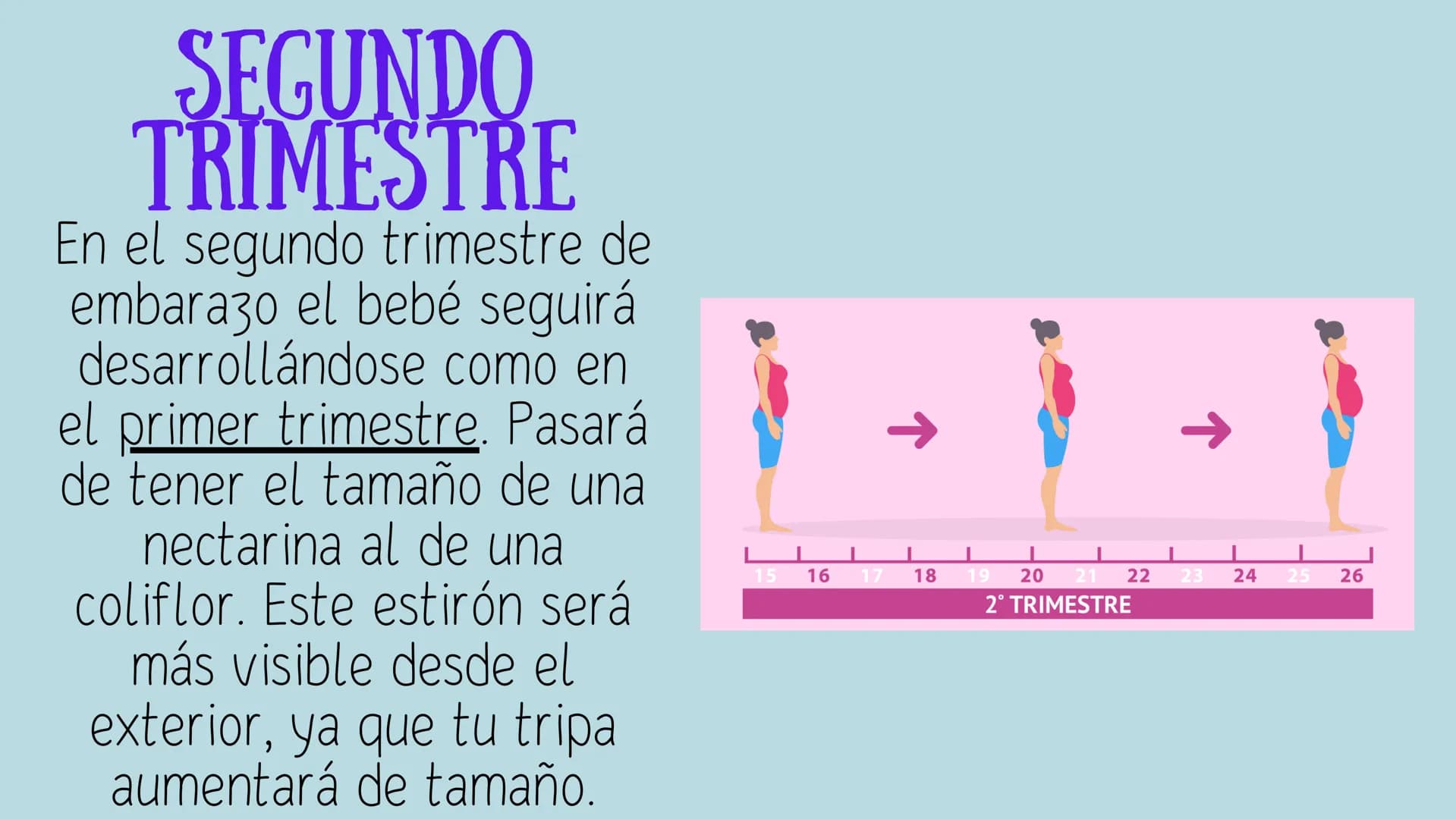 PROCESO GESTIONAL, CAMBIOS
FISIOLOGICOS DURANTE LA
GESTACIÓN CAMBIOS FISIOLOGICOS EN EL
EMBARAZO
La mujer gestante presenta una serie de
cam