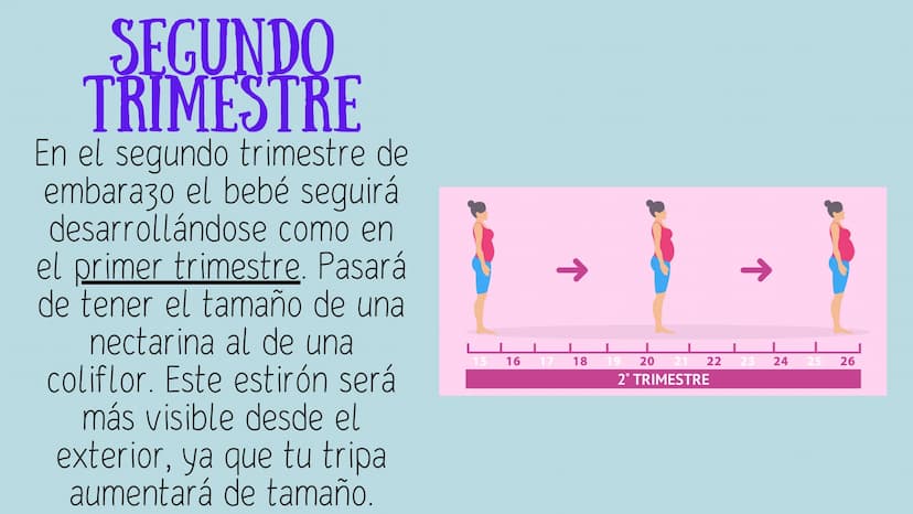 PROCESO GESTIONAL, CAMBIOS
FISIOLOGICOS DURANTE LA
GESTACIÓN CAMBIOS FISIOLOGICOS EN EL
EMBARAZO
La mujer gestante presenta una serie de
cam