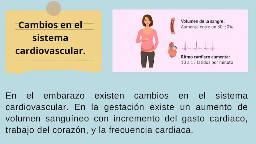 PROCESO GESTIONAL, CAMBIOS
FISIOLOGICOS DURANTE LA
GESTACIÓN CAMBIOS FISIOLOGICOS EN EL
EMBARAZO
La mujer gestante presenta una serie de
cam