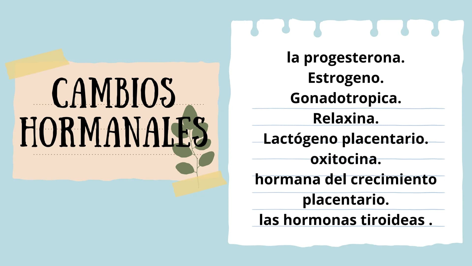PROCESO GESTIONAL, CAMBIOS
FISIOLOGICOS DURANTE LA
GESTACIÓN CAMBIOS FISIOLOGICOS EN EL
EMBARAZO
La mujer gestante presenta una serie de
cam