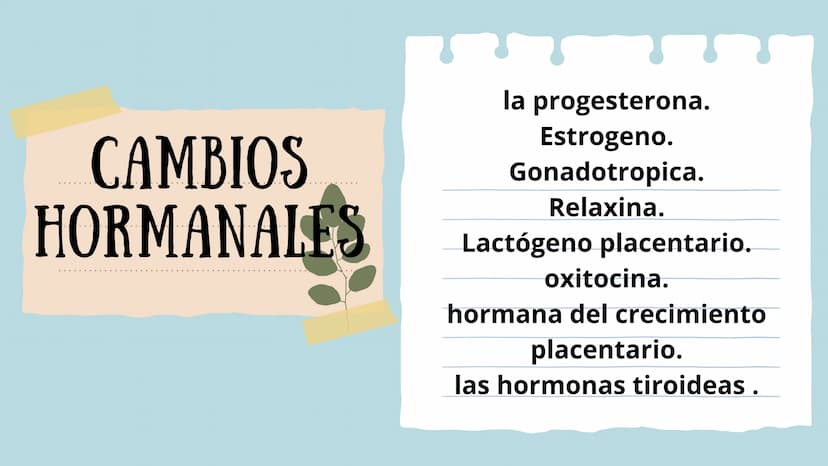 PROCESO GESTIONAL, CAMBIOS
FISIOLOGICOS DURANTE LA
GESTACIÓN CAMBIOS FISIOLOGICOS EN EL
EMBARAZO
La mujer gestante presenta una serie de
cam