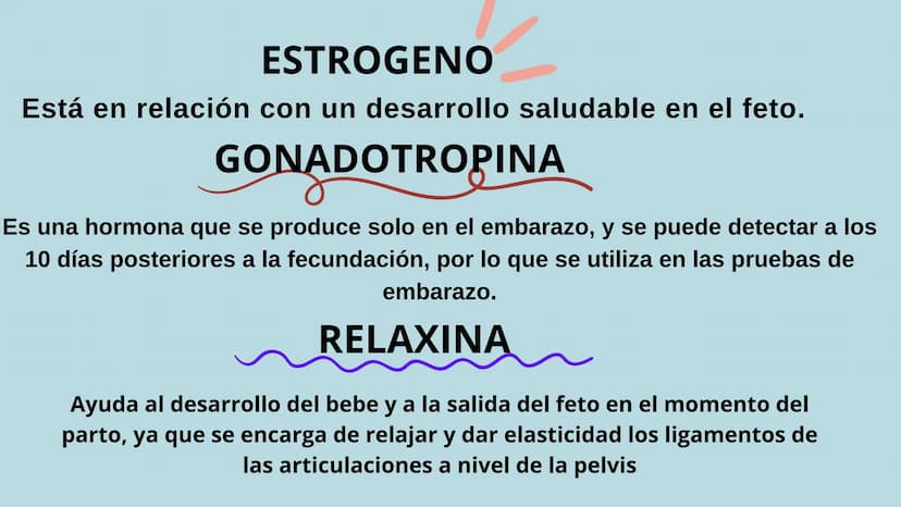 PROCESO GESTIONAL, CAMBIOS
FISIOLOGICOS DURANTE LA
GESTACIÓN CAMBIOS FISIOLOGICOS EN EL
EMBARAZO
La mujer gestante presenta una serie de
cam