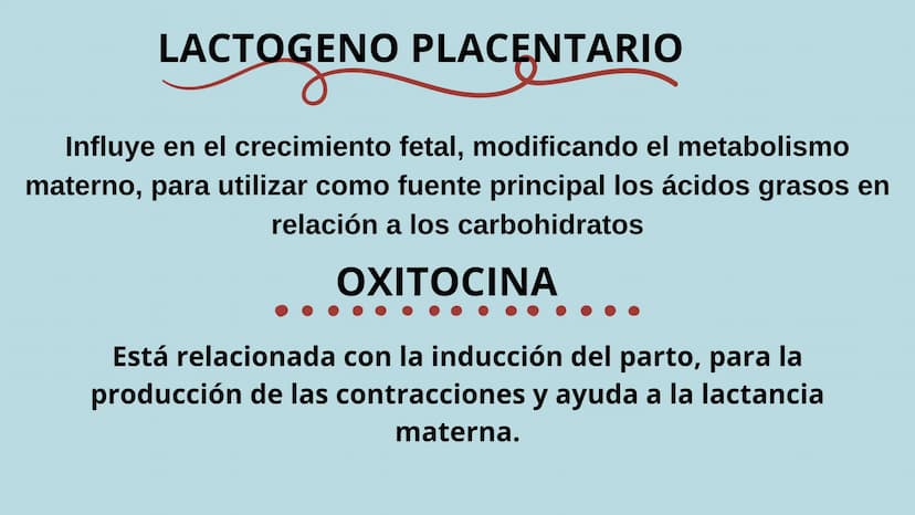 PROCESO GESTIONAL, CAMBIOS
FISIOLOGICOS DURANTE LA
GESTACIÓN CAMBIOS FISIOLOGICOS EN EL
EMBARAZO
La mujer gestante presenta una serie de
cam