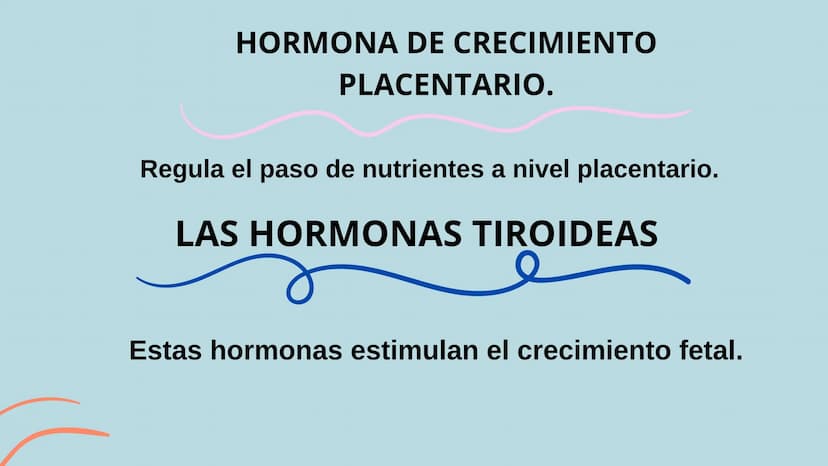 PROCESO GESTIONAL, CAMBIOS
FISIOLOGICOS DURANTE LA
GESTACIÓN CAMBIOS FISIOLOGICOS EN EL
EMBARAZO
La mujer gestante presenta una serie de
cam