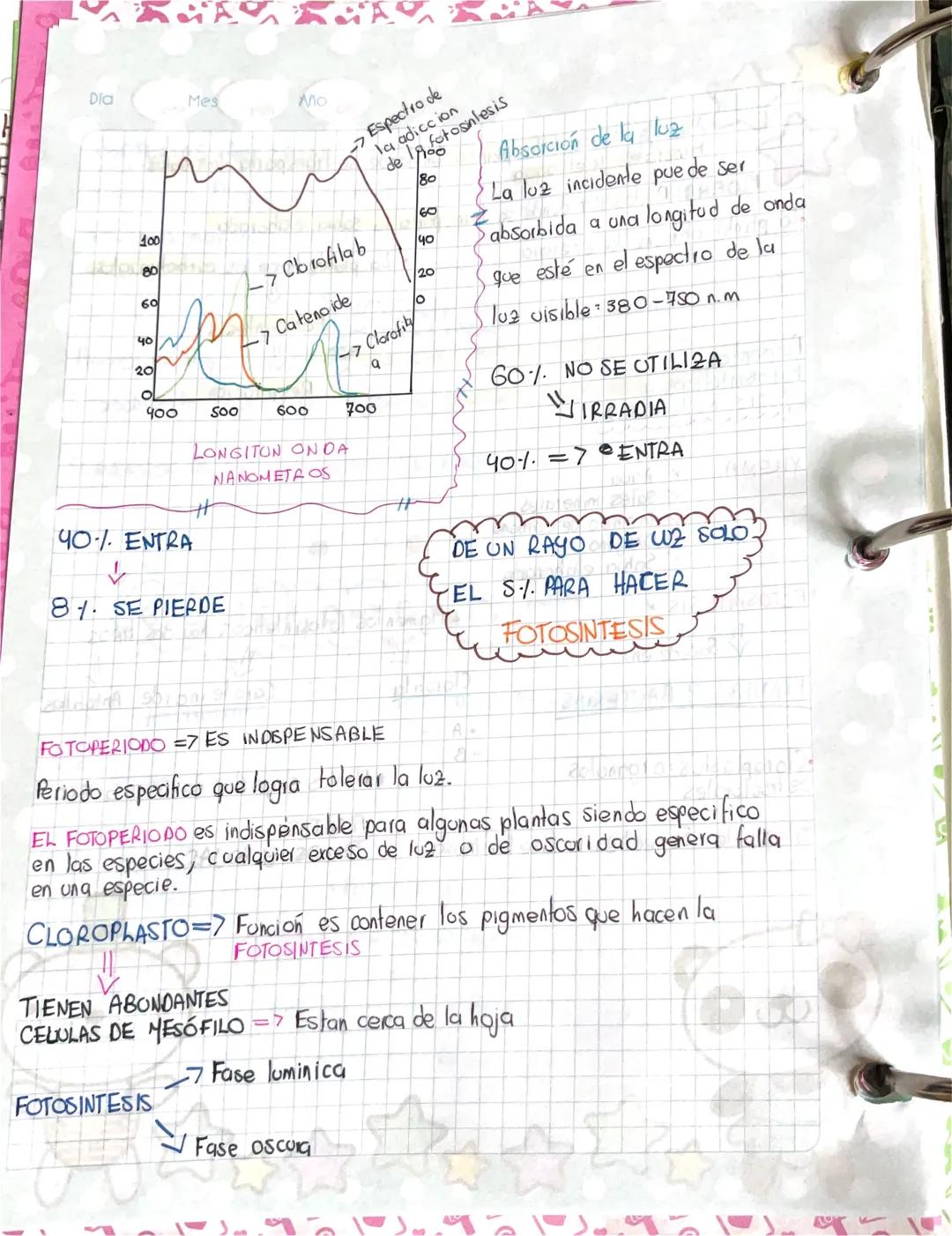 Dia
Mes
Año
# BACTERIAS AEROBIAS
Mesosomas: Pliegues de la membrana celular de algunas bacterias, que
actúan de manera análoga a milocondria