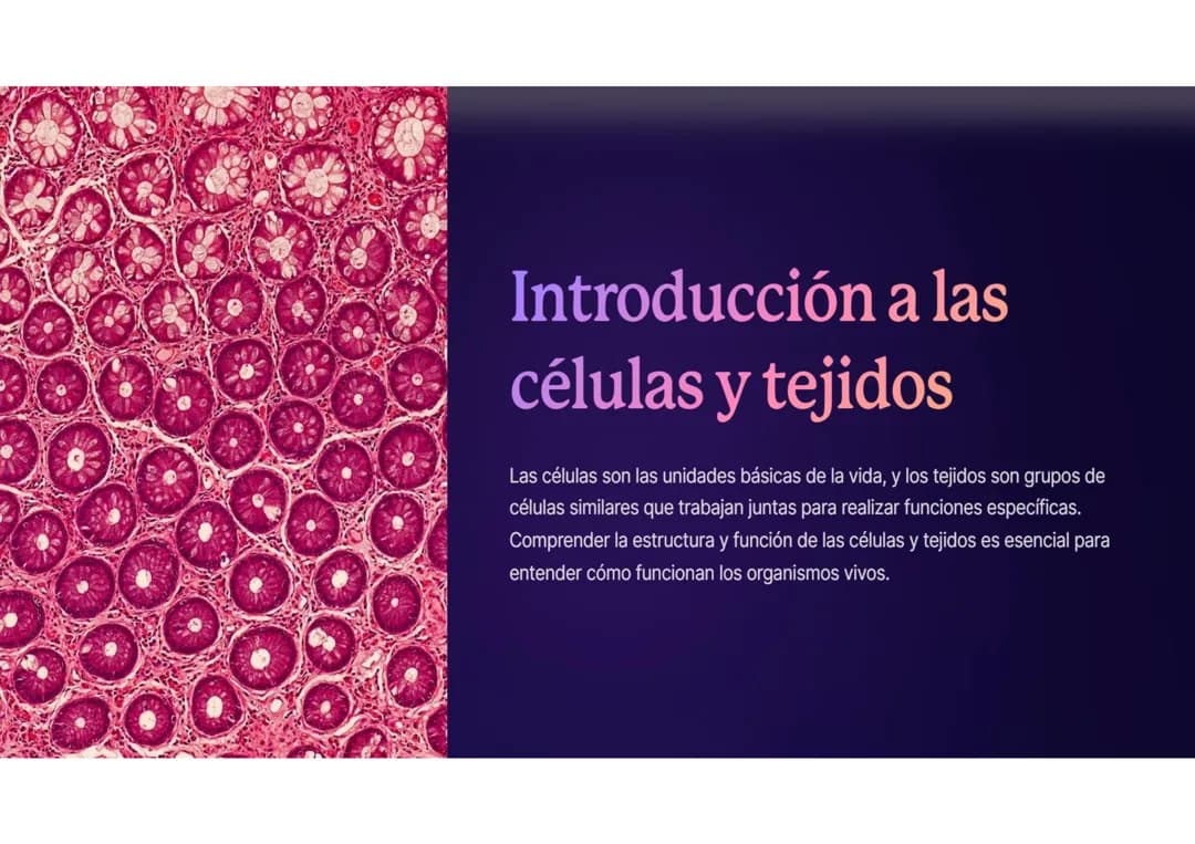 Células y tejidos