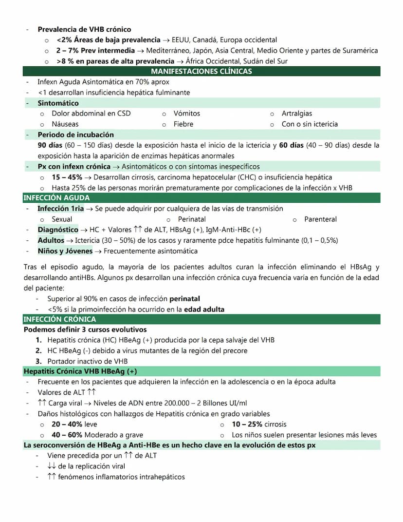 HEPATITIS B
VIRUS DE LA HEPATITIS B
Familia: Hepadnaviridae
Reservorio → Humano → único reservorio con la capacidad de infxn a otros
Tipo → 