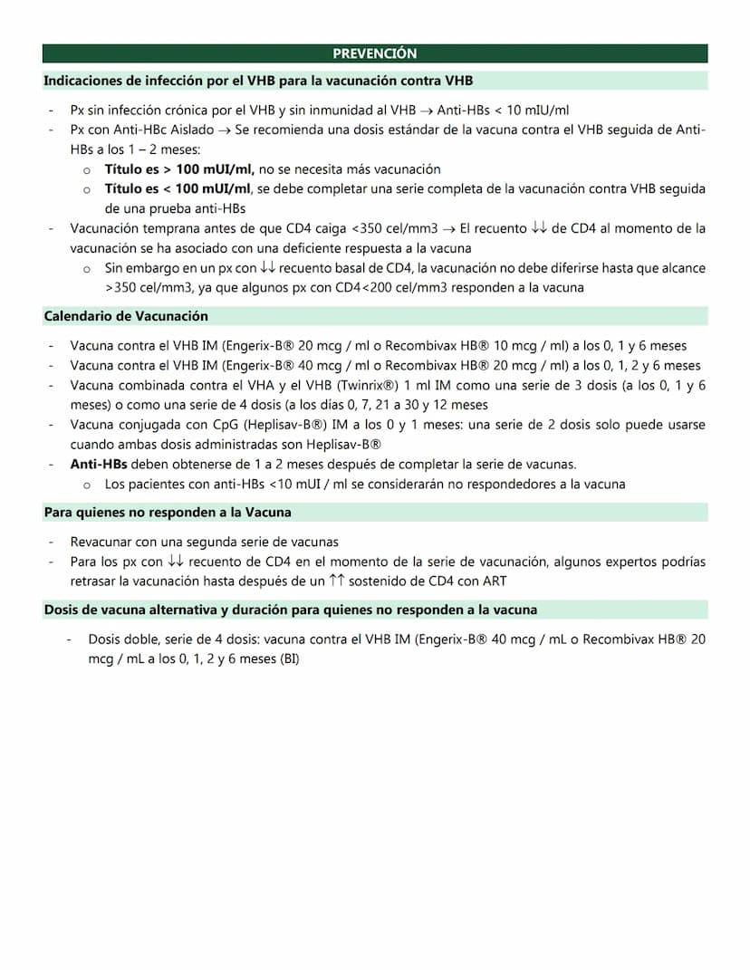HEPATITIS B
VIRUS DE LA HEPATITIS B
Familia: Hepadnaviridae
Reservorio → Humano → único reservorio con la capacidad de infxn a otros
Tipo → 