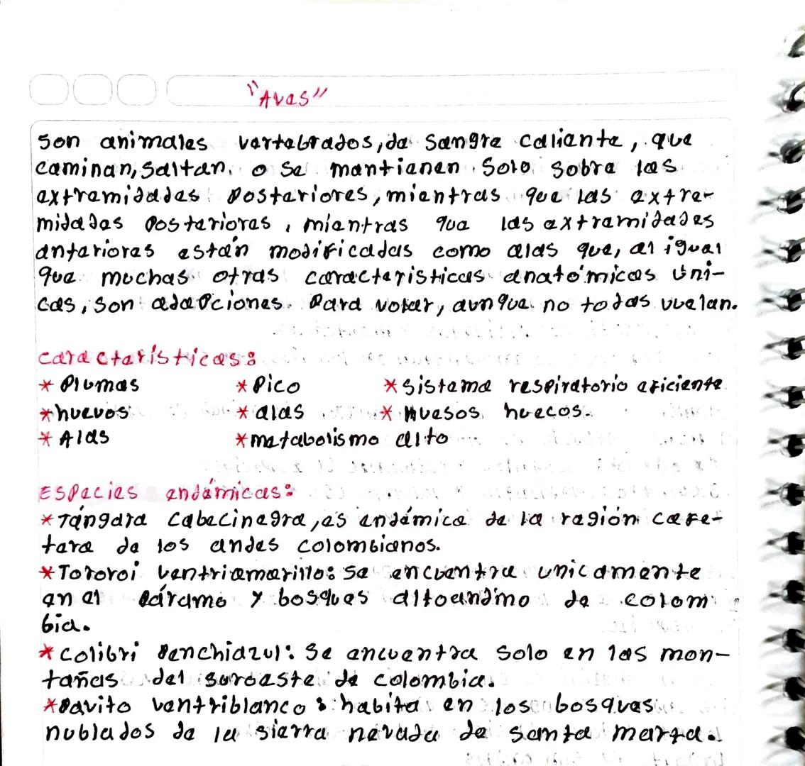 ۱۱
"mamiraros"
Animales verteblados que Partenecen al grupo amniotas, son
capaces de ganerar y mantener su propia temperatura
corporal atrav