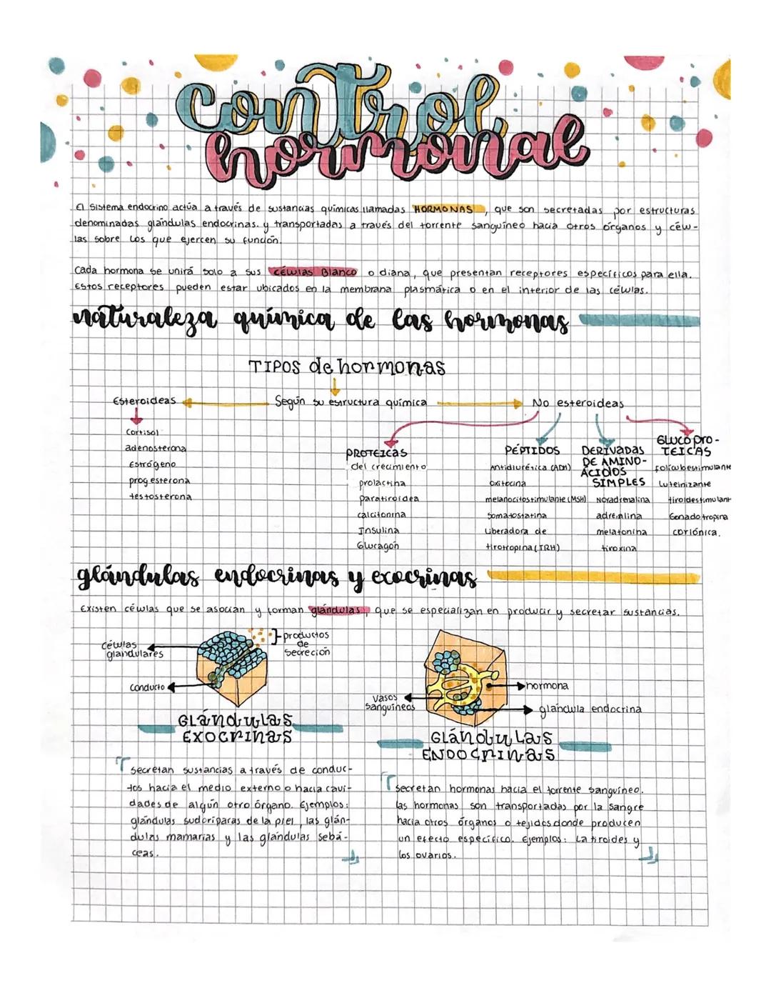 # control

Sistema endocrino actúa a través de sustancias químicas lamadas HORMONAS, que son secretadas por estructuras
denominadas glandula