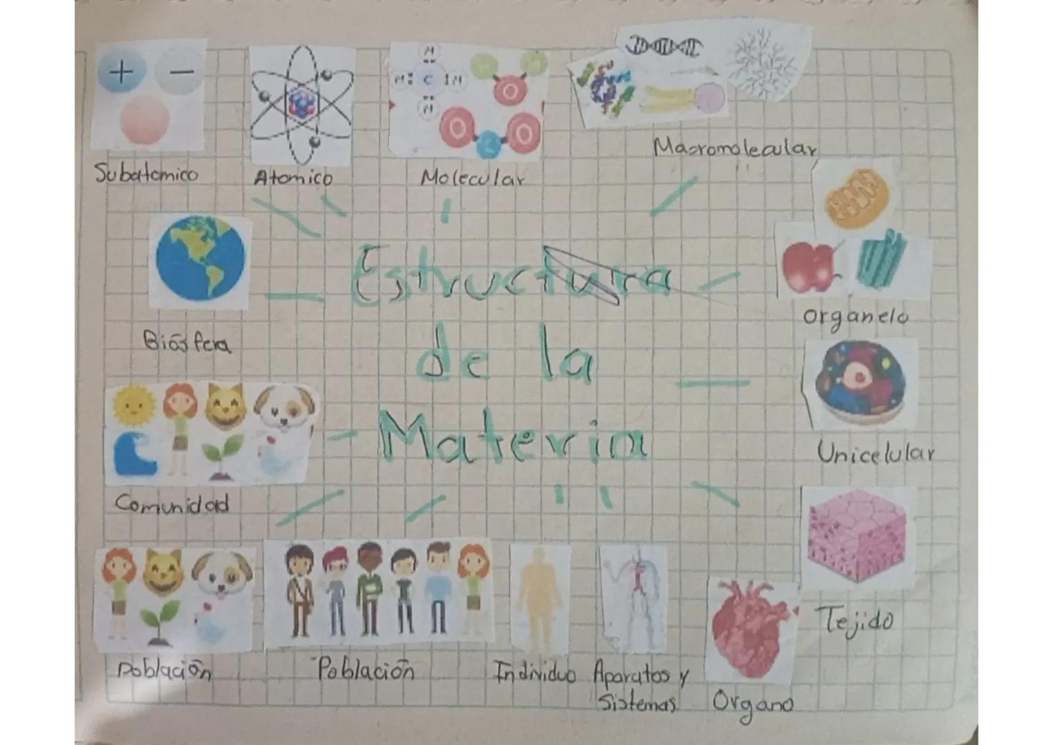 + 
Subatomico

Bias fera

Comunidad

Atomico

0.0

Molecular

DOA

Macromolecular

Estructura
de la
-Materim

Organelo

Unicelular

Població