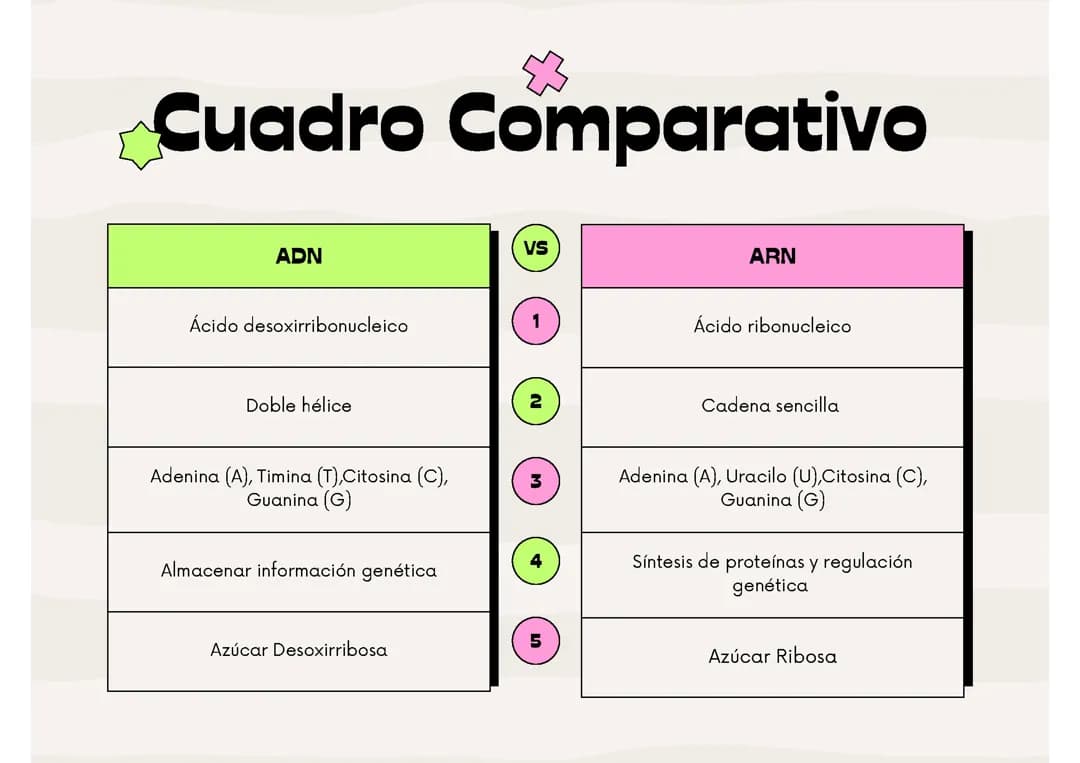 ADN y ARN