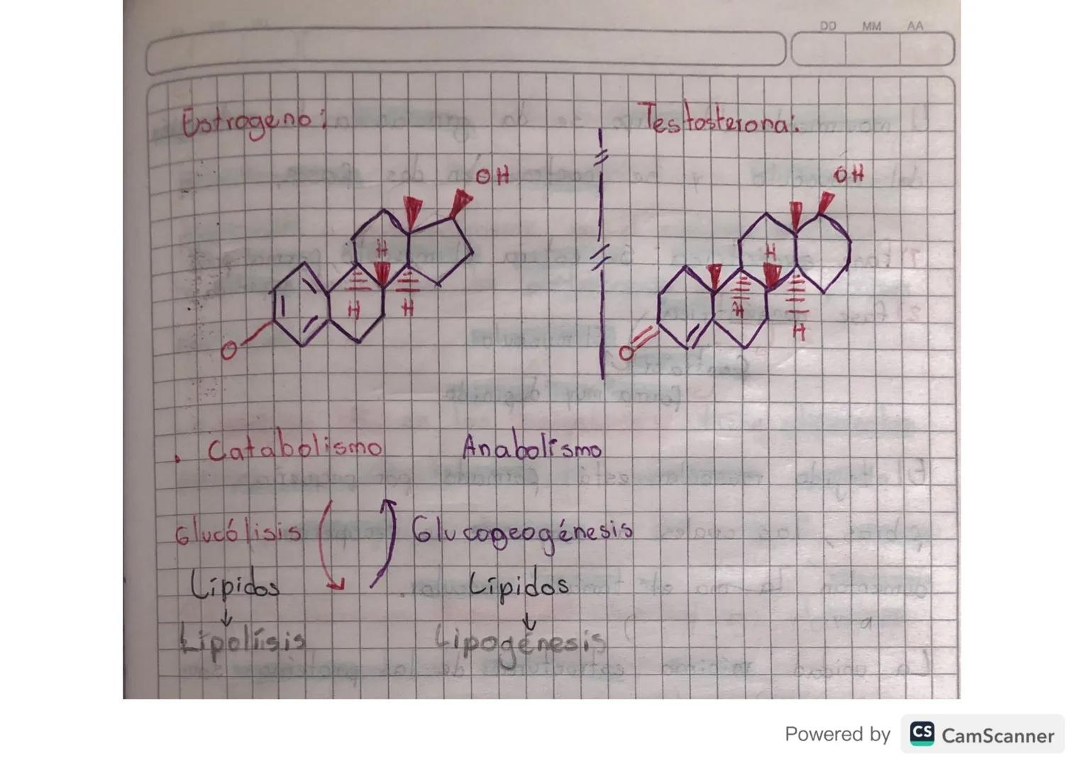 # Hormonas sexuales

Determinan la identidad biológica del individuo, ya sea
macho o hembra, determina los rasgos cualitativos.como
la voz, 