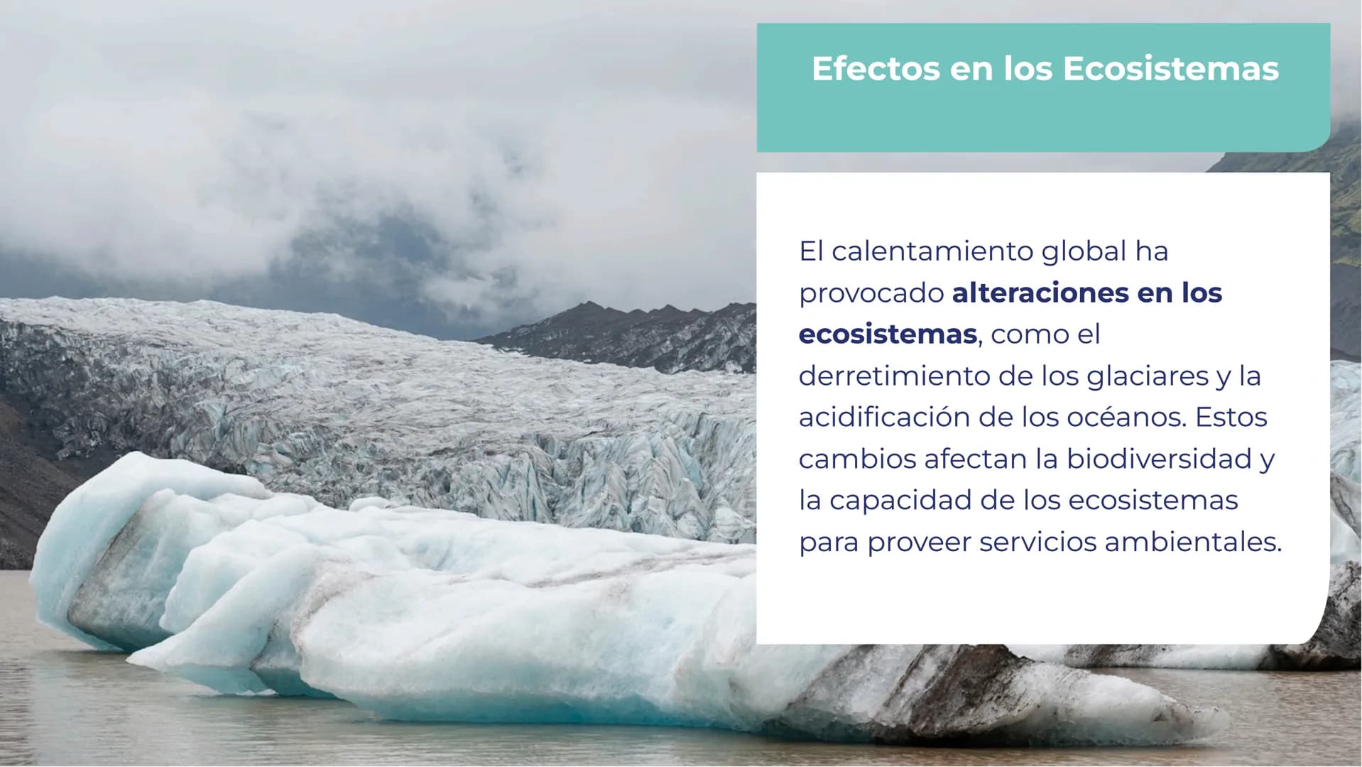 EL IMPACTO DEL
CALENTAMIENTO
GLOBAL EN EL MEDIO
AMBIENTE INTRODUCCIÓN
El calentamiento global es un
fenómeno que ha generado
un impacto sign