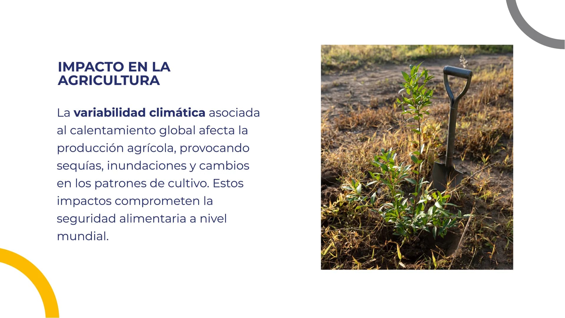 EL IMPACTO DEL
CALENTAMIENTO
GLOBAL EN EL MEDIO
AMBIENTE INTRODUCCIÓN
El calentamiento global es un
fenómeno que ha generado
un impacto sign