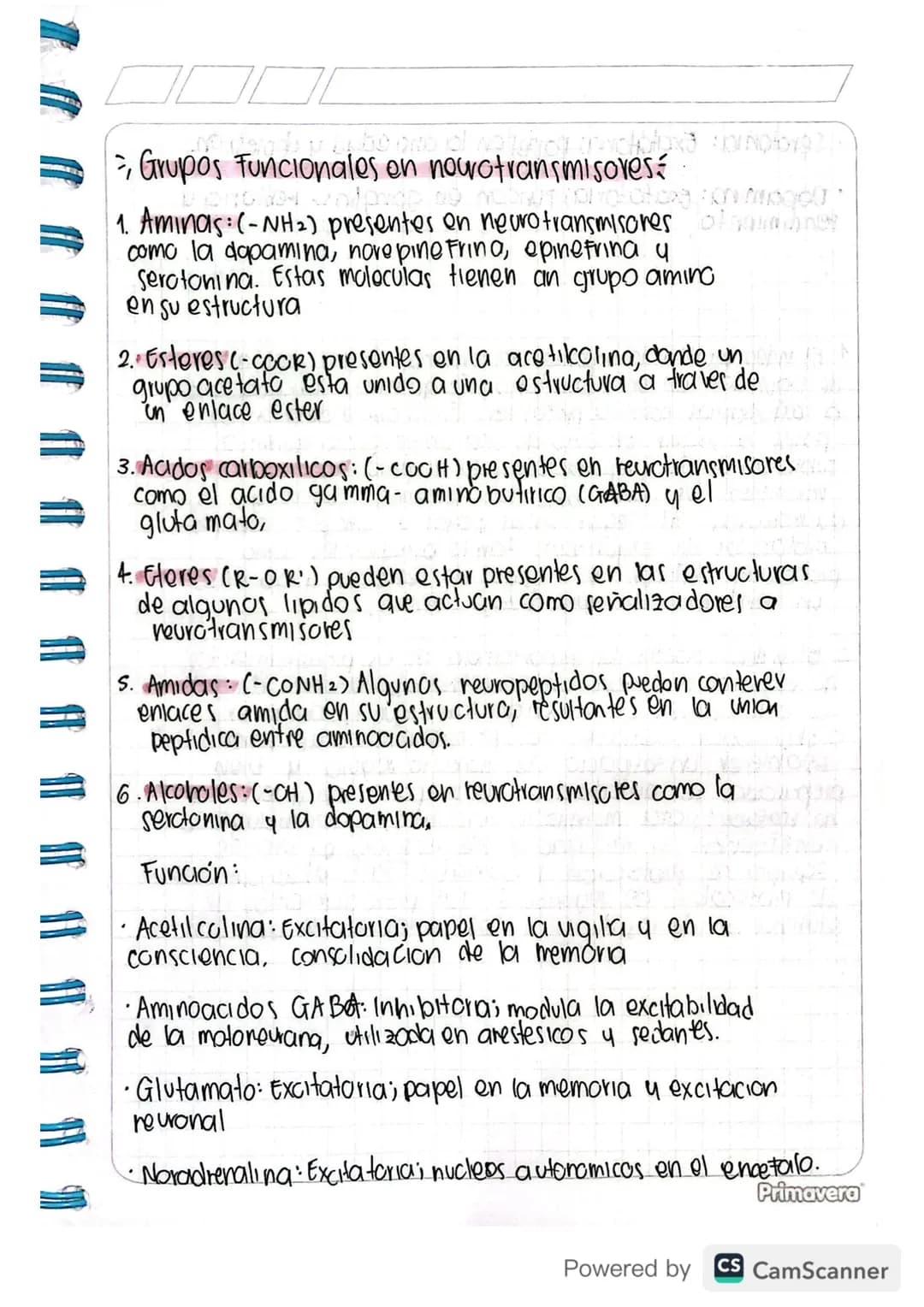 > Grupos Funcionales en neurotransmisores
1. Aminas: (-NH₂) presentes en neurotransmisores of
como la dopamina, nove pine Fring, epinefrina 
