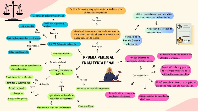 Imparcialidad
Elaboración del informa pericial
R
Goza
Inicia investigación y
análisis.
↑
Procede
Facilitar la percepción y apreciación de lo