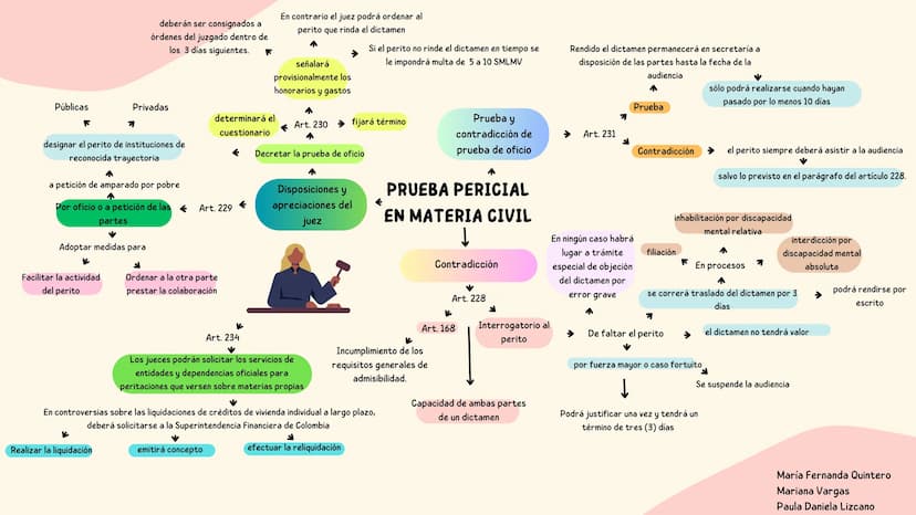 Imparcialidad
Elaboración del informa pericial
R
Goza
Inicia investigación y
análisis.
↑
Procede
Facilitar la percepción y apreciación de lo