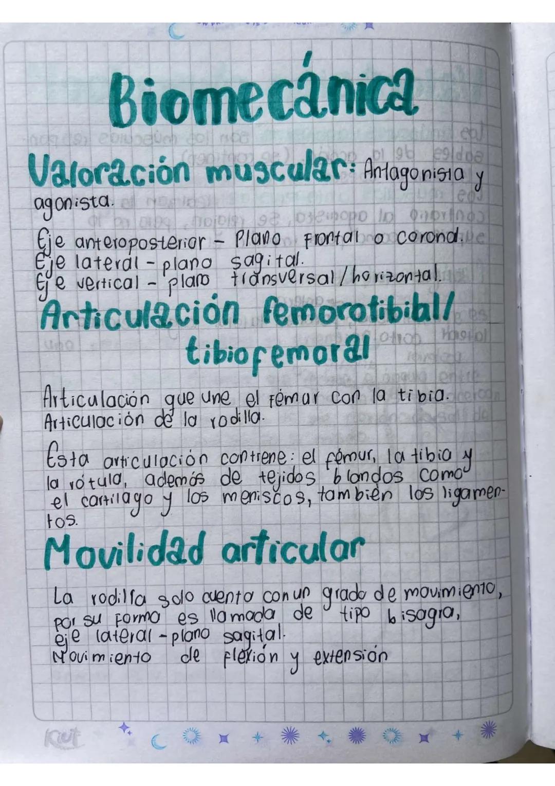feb 12-2024
SLOW PROGRESS IS STILL PROGRESS
# Biomecánica

Vabración muscular Rodilla, tobillo, cadera,
Colamna, hombero, codo y

Movilidad 