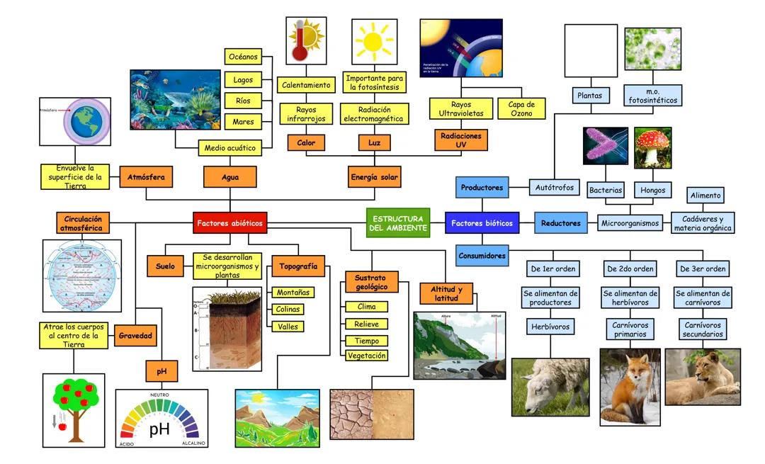 Estructura del Ambiente: Factores Bióticos y Abióticos