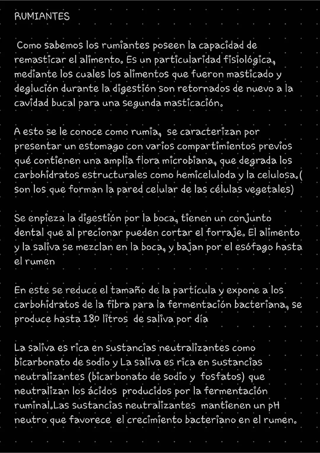 Sistema digestivo de los rumiantes 