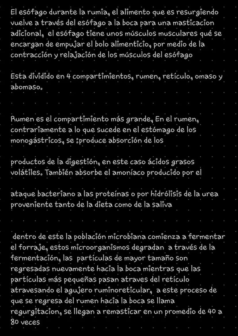 RUMIANTES
Como sabemos los rumiantes poseen la capacidad de
remasticar el alimento. Es un particularidad fisiológica,
mediante los cuales lo