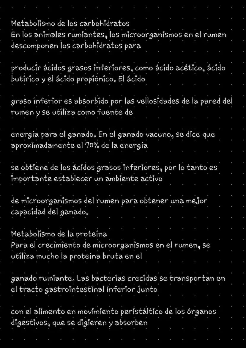 RUMIANTES
Como sabemos los rumiantes poseen la capacidad de
remasticar el alimento. Es un particularidad fisiológica,
mediante los cuales lo