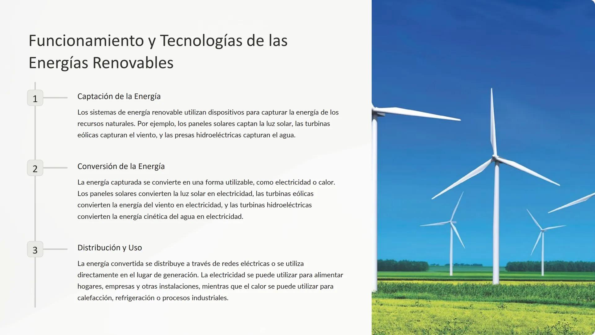 Conation
Energías Renovables
y Sostenibilidad
Realive
Las energías renovables se basan en recursos naturales que se
renuevan continuamente, 
