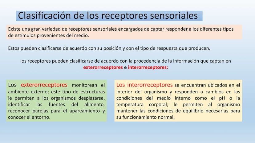 Los seres vivos responden
estímulos La respuesta a estímulos
Es el conjunto de acciones que realizan los seres vivos después de percibir un 