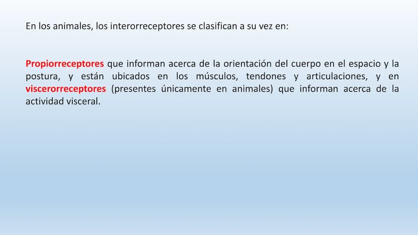 Los seres vivos responden
estímulos La respuesta a estímulos
Es el conjunto de acciones que realizan los seres vivos después de percibir un 