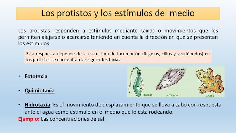 Los seres vivos responden
estímulos La respuesta a estímulos
Es el conjunto de acciones que realizan los seres vivos después de percibir un 