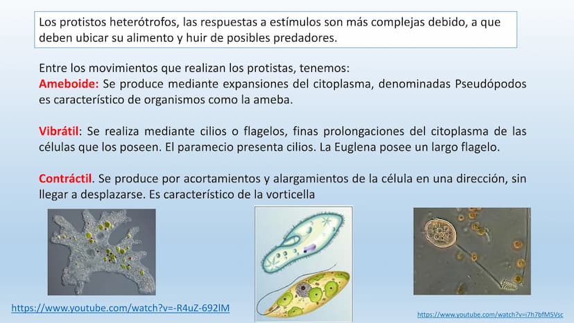 Los seres vivos responden
estímulos La respuesta a estímulos
Es el conjunto de acciones que realizan los seres vivos después de percibir un 