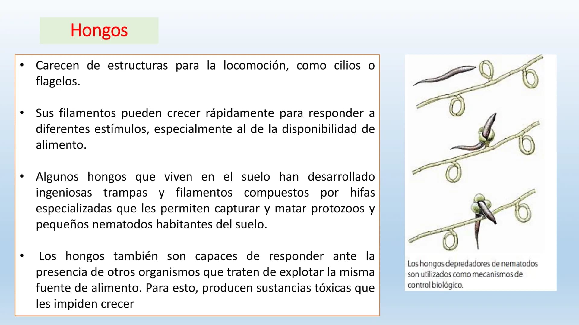 Los seres vivos responden
estímulos La respuesta a estímulos
Es el conjunto de acciones que realizan los seres vivos después de percibir un 