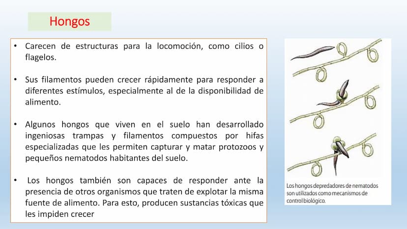 Los seres vivos responden
estímulos La respuesta a estímulos
Es el conjunto de acciones que realizan los seres vivos después de percibir un 