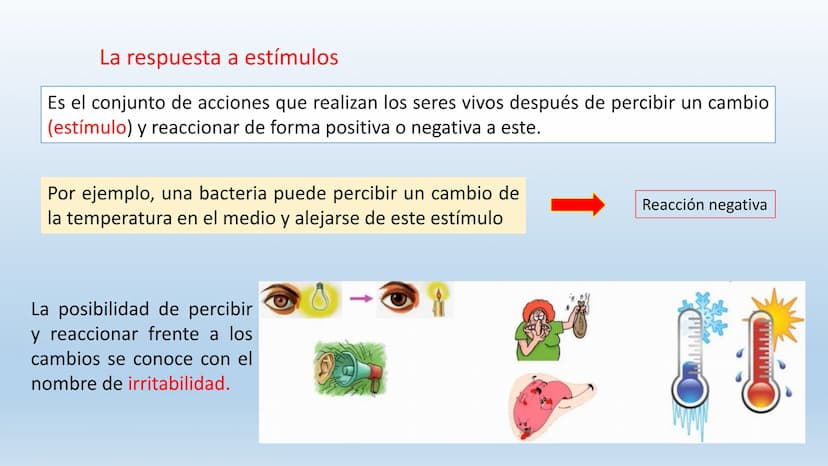 Los seres vivos responden
estímulos La respuesta a estímulos
Es el conjunto de acciones que realizan los seres vivos después de percibir un 