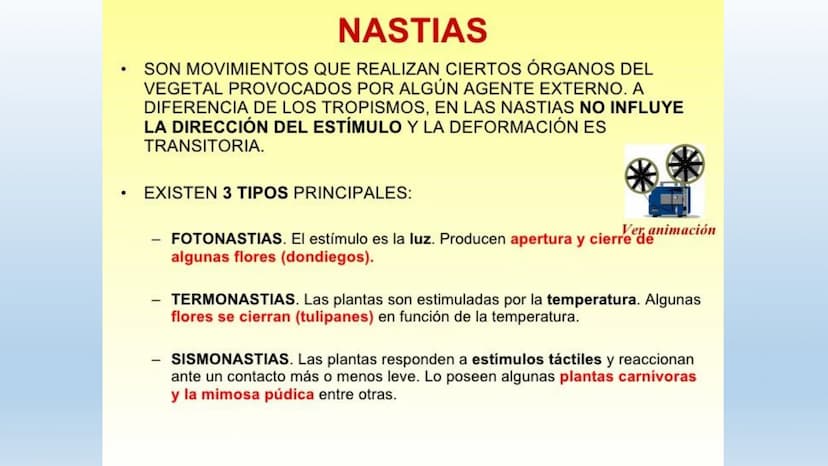 Los seres vivos responden
estímulos La respuesta a estímulos
Es el conjunto de acciones que realizan los seres vivos después de percibir un 