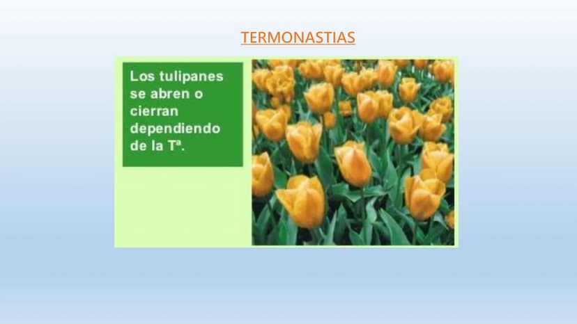 Los seres vivos responden
estímulos La respuesta a estímulos
Es el conjunto de acciones que realizan los seres vivos después de percibir un 