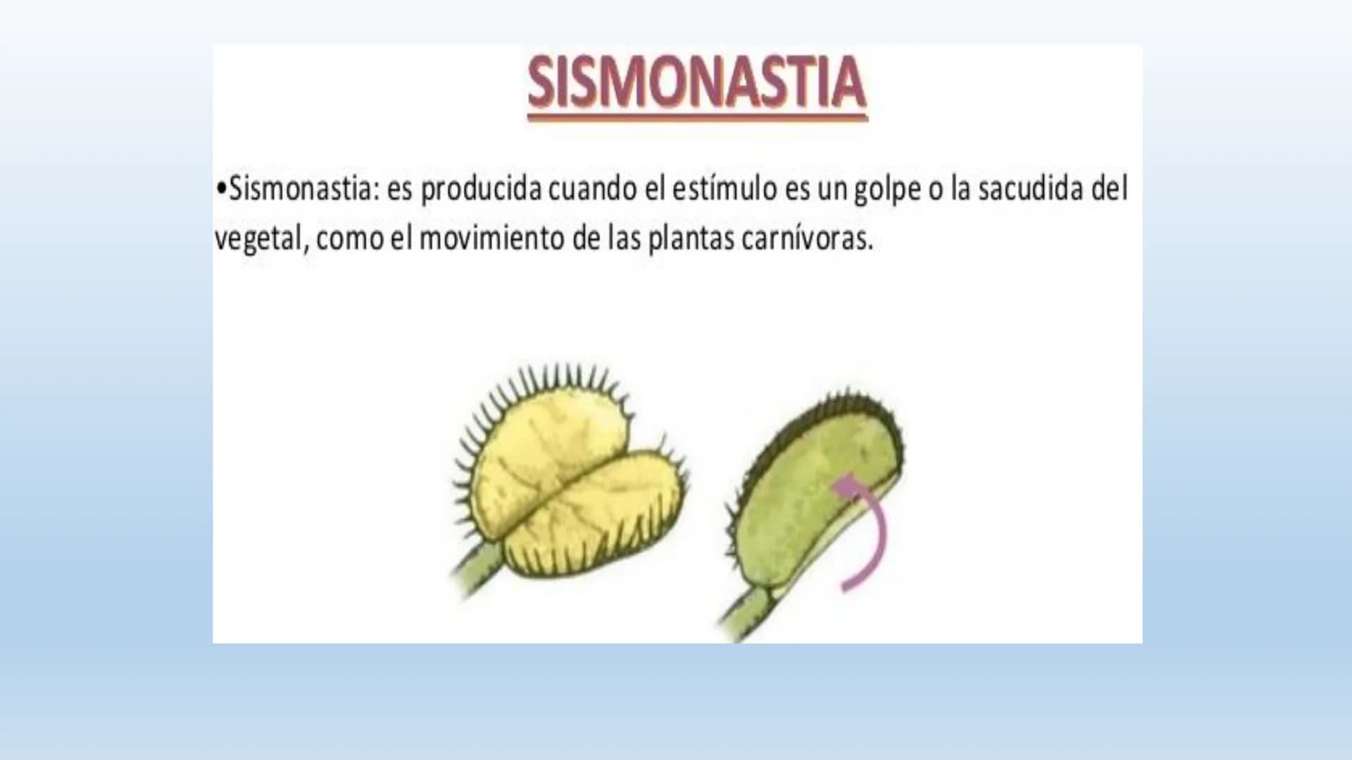 Los seres vivos responden
estímulos La respuesta a estímulos
Es el conjunto de acciones que realizan los seres vivos después de percibir un 