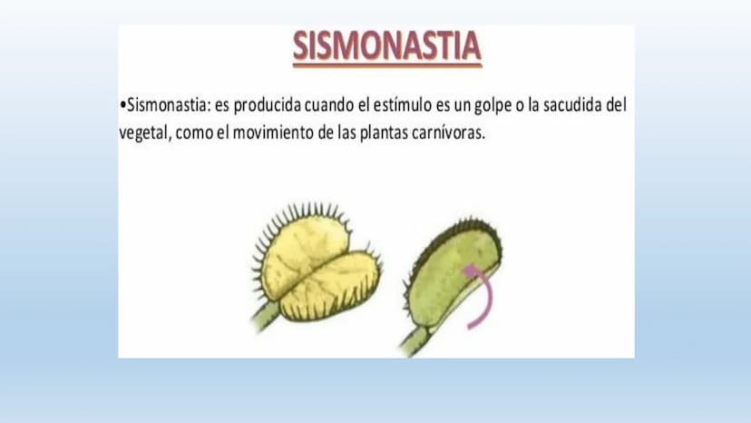 Los seres vivos responden
estímulos La respuesta a estímulos
Es el conjunto de acciones que realizan los seres vivos después de percibir un 