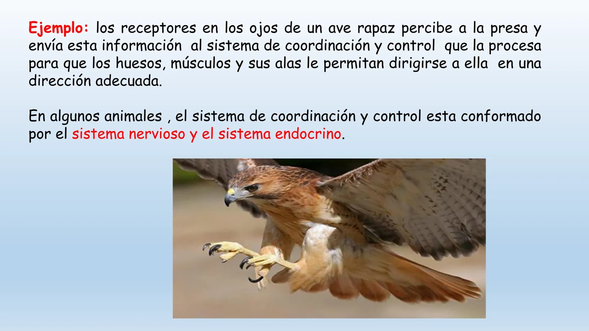 Los seres vivos responden
estímulos La respuesta a estímulos
Es el conjunto de acciones que realizan los seres vivos después de percibir un 
