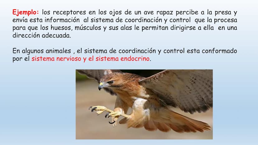 Los seres vivos responden
estímulos La respuesta a estímulos
Es el conjunto de acciones que realizan los seres vivos después de percibir un 
